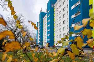 Gut geschnittene 3-Zimmer-Wohnung mit Balkon und Lift im Haus.