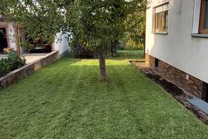 Großes EFH mit ELW und schönem Garten – Amberg-Sulzbach (Kreis) – Vorschaubild 11