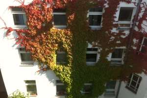 Berlin Mitte/Gesundbrunnen, ruhige Seitenstr., 53qm, Gartenhaus, vermietet. – Neue Hochstr. 8, 13347 Gesundbrunnen, Berlin – Vorschaubild 2