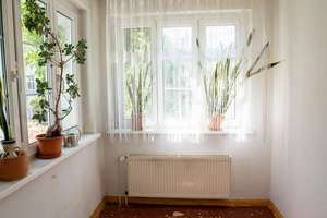 Grüne Oase in Potsdam – Einfamilienhaus mit Garten, Balkon und viel Raum für Ihre Ideen – Heideweg 5, 14482 Babelsberg Süd, Potsdam – Vorschaubild 13