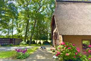 Idyllisches Reetdachhaus auf Traumgrundstück – Osterholz (Kreis) – Vorschaubild 20