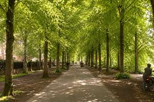 Promenaden-Traum! Sofort-bezugsfertige Innenstadtwohnung in hervorragender Lage