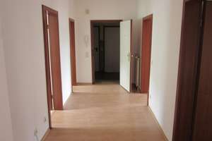 GE-Horst 3,5 Raum-Whg. -zentrale Lage- WG geeignet – Essener Straße 50, 45899 Horst, Gelsenkirchen – Vorschaubild 2