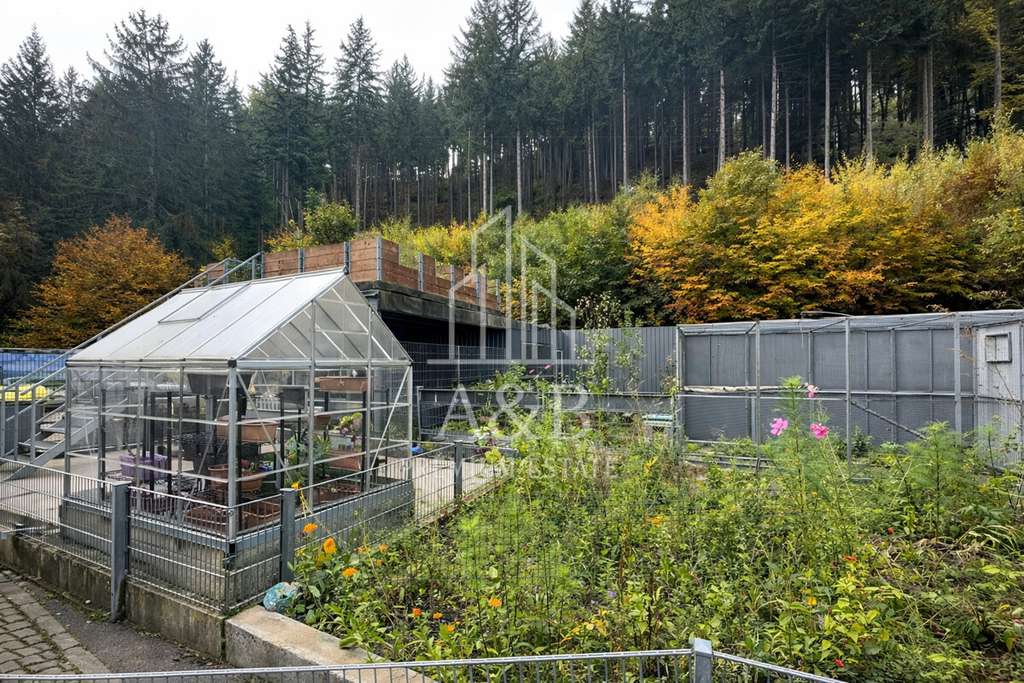 Immobilie in Frankenstein - ** ALLEINLAGE - Jagd und Forstgebiet für MACHER und Projektbegeisterte ** - Bild 4