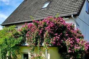 Schlafen, wie Dornröschen hinter den Rosen......... gepflegtes, bezugsfreies EFH/ZFH mit großem Ra