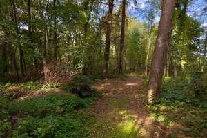 Wohnen im Dreiklang: Anwesen mit drei Wohneinheiten, Gewerbe und traumhaftem Naturgrundstück – Die vollständige Adresse der Immobilie erhältst du vom Anbieter., 25842 Lütjenholm – Vorschaubild 37