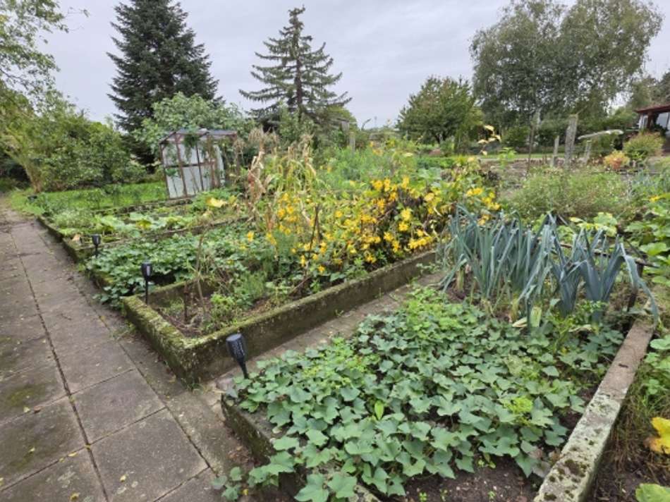 VK-1517 Aussenbereich Scheune