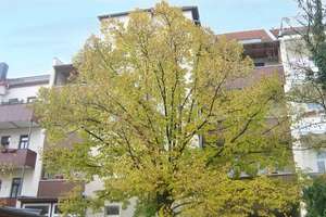 Helle 3-Zimmer Wohnung mit Veranda in Leipzig Gohlis-Mitte – Wilhelm Plesse Straße 16, 4157 Gohlis-Mitte, Leipzig – Vorschaubild 2