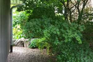 Fantastisches Familiendomizil: 2 EFH mit Garage, Carport u. wunderschönen Garten in 79263 Simonswald – Emmendingen (Kreis) – Vorschaubild 61