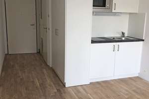 *Möbliertes Apartment im EG mit West-Terrasse zum Innenhof für Studenten & Azubis inkl. Pantryküche* – Steinhauser Str. 3, 81677 Steinhausen, München – Vorschaubild 5