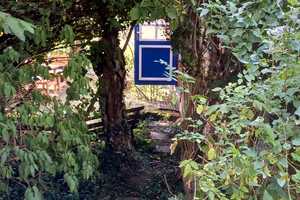 Günstige 2-Raum-Finnhütte in Bilzingsleben OT Düppel Kindelbrück – Ferienhaussiedlung 7, 99638 Sömmerda (Kreis) – Vorschaubild 10
