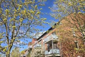 3-Zimmer EG-Wohnung, SW-Terrasse – Ellen-Scheuner-Weg 6, 48147 Rumphorst, Münster – Vorschaubild 30