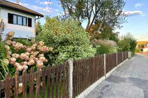 Großzügiges ZFH in ruhiger Lage in Holzkirchen - Ideal für Familien,Mehrgenerationen, Kapitalanleger – Miesbach (Kreis) – Vorschaubild 9
