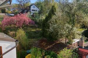 Naturnahes Wohnen am Pfaffensteiner Hang: 3-Zimmer-Wohnung in Regensburg – Alte Nürnberger Straße 46, 93059 Steinweg-Pfaffenstein, Regensburg – Vorschaubild 12