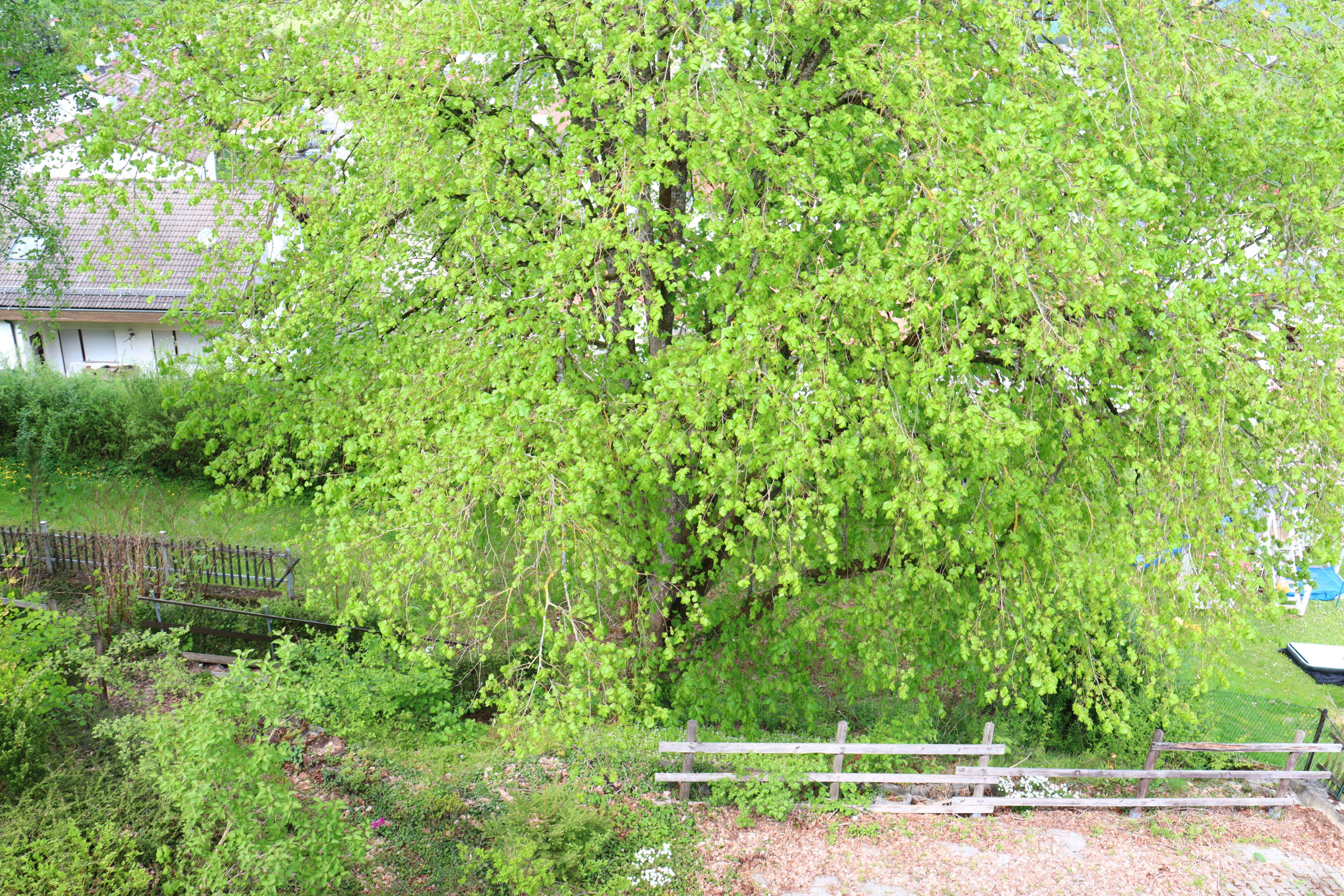 Riesiges Potenzial bis zu 4 Wohnungen möglich!!! Renovierung erforderlich!!!, Heidenheim Kreis – Bild 4