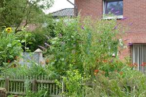 Altes Bauernhaus für Selbstversorger, Träumer, Individualisten mit Bauerngarten und Obstgehölzen! – Mühltalweg 74, 41844 Wegberg – Vorschaubild 5