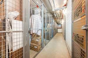 Stilvoll wohnen: Vermietete 3-Zimmer-Oase mit Loggia und bequemem Aufzug – Die vollständige Adresse der Immobilie erhältst du vom Anbieter., 10437 Prenzlauer Berg, Berlin – Vorschaubild 11
