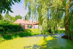 ländliches Anwesen mit parkähnlichem Grundstück, Reitanlage und separatem Gästehaus – Ostholstein (Kreis) – Vorschaubild 7