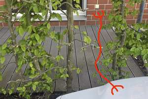 3-Zimmer EG-Wohnung, SW-Terrasse – Ellen-Scheuner-Weg 6, 48147 Rumphorst, Münster – Vorschaubild 43
