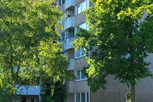 Erdgeschoß-frisch renoviert-separater Eingang-Balkon-Tiefgarage-von Privat – Elmshorner Straße 15, 25421 Pinneberg – Vorschaubild 25