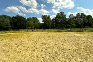 Ländlicher Vierkanthof mit Nebengebäuden und Weiden – Viersen (Kreis) – Vorschaubild 14