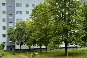 Sonnige  3-Raum-Wohnung mit EBK! – Hans-Otto-Weg 2, 1219 Leubnitz-Neuostra, Dresden – Vorschaubild 2