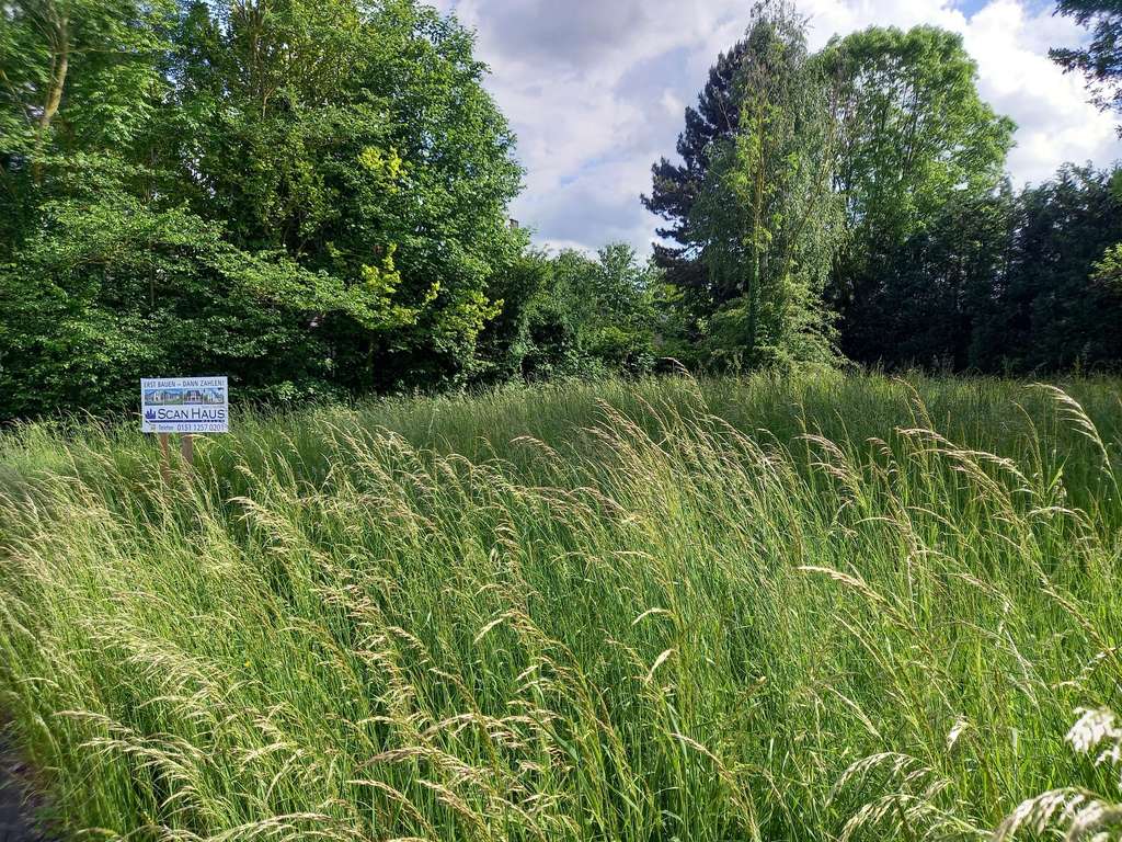 Immobilie in Zierenberg - Faszinierend und effizient! Ihr Einfamilienhaus mit Erker, A+ - Bild 2