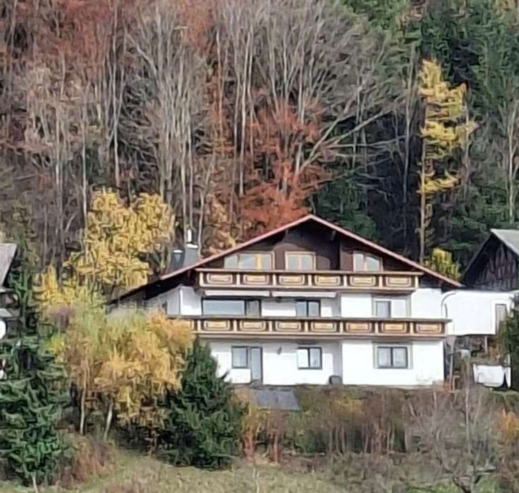 Immobilie in Loßburg - Mein gigantisches Traumhaus in ruhiger Lage, inklusive Sauna, Einliegerwohnung und Garage(n) - Bild 0