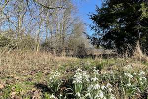 Property thumbnail 11