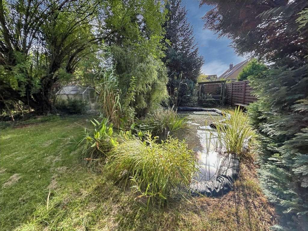 Immobilie in Hagenburg - Sanierungsobjekt mit Potential - Bild 4