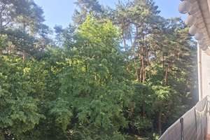 Attraktive 3-Zimmer-Wohnung in der schönen Waldstadt