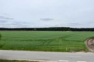 Fachwerkhaushälfte mit Fachkwerknebengebäude & Carport – Lüchow-Dannenberg (Kreis) – Vorschaubild 21