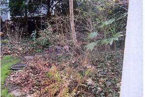 Reihenmittelhaus in sehr gefragter Lage von Bremen-Steintor – Wielandstraße 31, 28203 Steintor, Bremen – Vorschaubild 3
