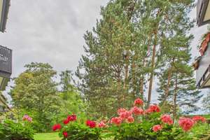 Property thumbnail 4