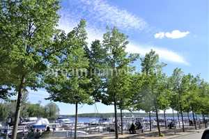 Property thumbnail 25