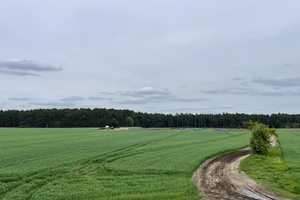 Fachwerkhaushälfte mit Fachkwerknebengebäude & Carport – Lüchow-Dannenberg (Kreis) – Vorschaubild 22