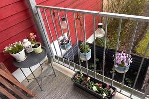 Charmante 2-Zimmer-Altbauwohnung mit Balkon und Gartennutzung – ab 01.10. – Die vollständige Adresse der Immobilie erhältst du vom Anbieter., 23558 Sankt Lorenz Süd, Lübeck – Vorschaubild 8