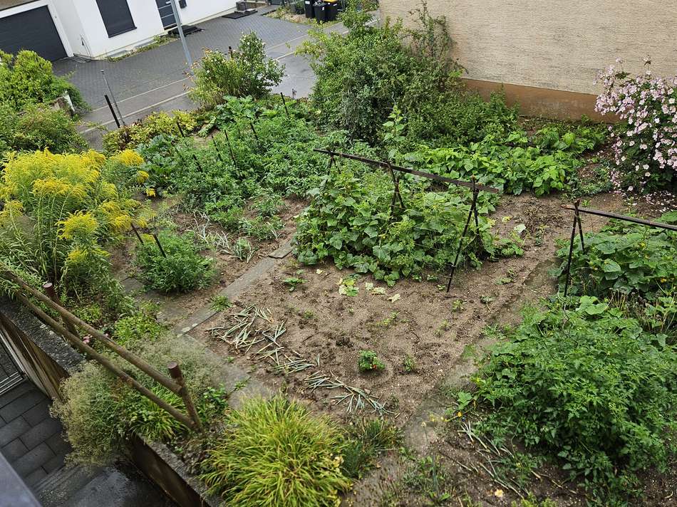 Gemüsegarten