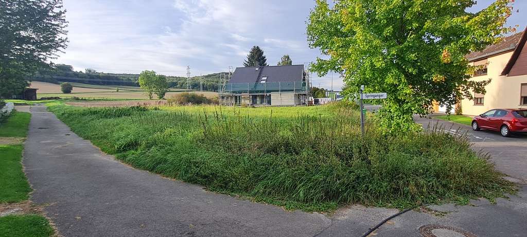 BAUGRUNDSTÜCK  westliche Ortsrandlage