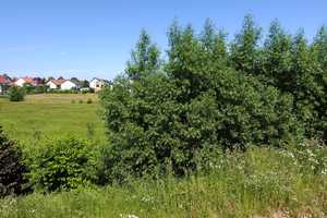 *** Neuwertiges Einfamilienhaus mit KfW 40 Plus QNG-Standard und PV-Anlage *** – Karl-Förster-Weg 1, 36103 Fulda (Kreis) – Vorschaubild 47