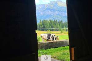 Einzigartiges Naturjuwel in den Allgäuer Alpen – anerkannte Alpe mit Wald- und Weideflächen – Die vollständige Adresse der Immobilie erhältst du vom Anbieter., 87538 Balderschwang – Vorschaubild 17