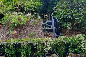2,5 Raum, Wald-Ruhrnähe, Terrasse 14 m², Bad: Wanne + sep. Dusche, Echtholzparkettböden – Am Homberg 9, 45529 Hattingen – Vorschaubild 6
