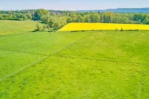 Pferdehof/Ranch für Selbstversorger & Tierliebhaber in Rheinland-Pfalz! – Die vollständige Adresse der Immobilie erhältst du vom Anbieter., 66882 Hütschenhausen – Vorschaubild 23