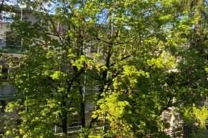 Maisonette-DG mit 37 m² Süd-Dachterrasse, Grünblick & Designerbad – provisionsfrei | TG inklusive – Wolfratshauser Straße 94, 81379 Thalkirchen, München – Vorschaubild 4