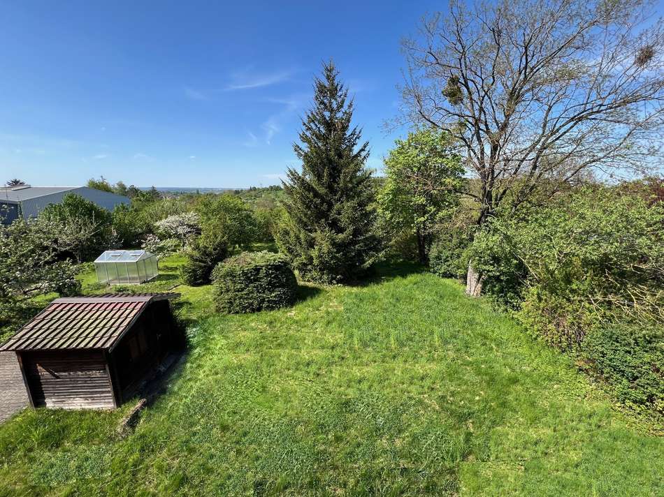 Aussicht in den Garten