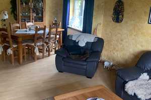 Halbinsel Nordstrand - Romantisches Reetdachhaus direkt am Deich: IHR NEUES FERIENHAUS ! – Nordfriesland (Kreis) – Vorschaubild 11