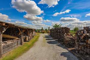 +Gehöft mit Zweifamilienhaus -Gewerbeflächen ca.300QM-Landwirtschaftsflächen ca.6500QM+ – Die vollständige Adresse der Immobilie erhältst du vom Anbieter., 3185 Tauer – Vorschaubild 9