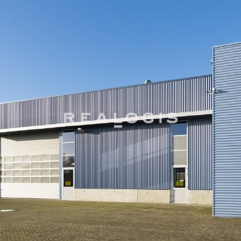 Ca. 1.200 qm Lager- / Werkstattflächen | ebenerdig | ca. 3,50 m UKB