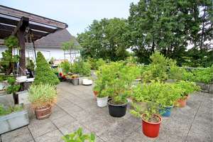 Dachterrassenoase in Feldrandlage von Büttelborn OT – Die vollständige Adresse der Immobilie erhältst du vom Anbieter., 64572 Büttelborn – Vorschaubild 11