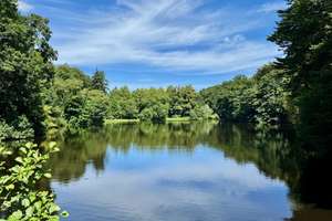 Property thumbnail 22